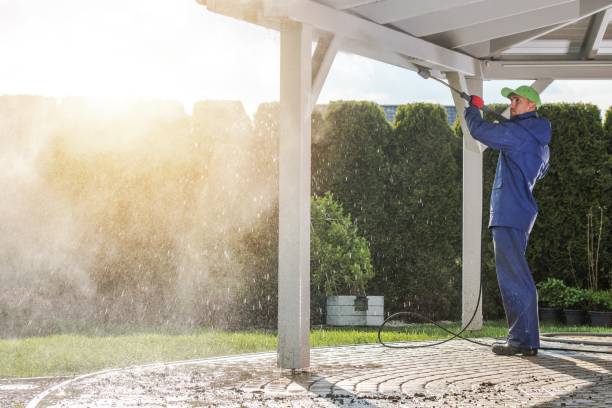 Best Driveway Cleaning and Restoration in Wautoma, WI